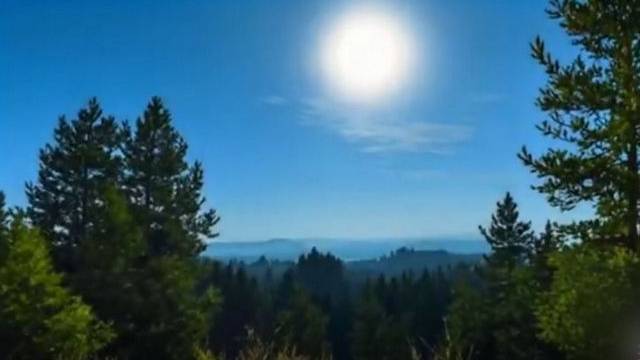 Фаина и Степан.