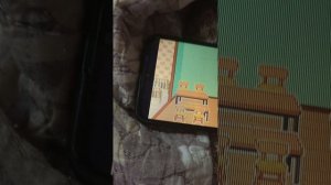 обустройство на садик тока бока