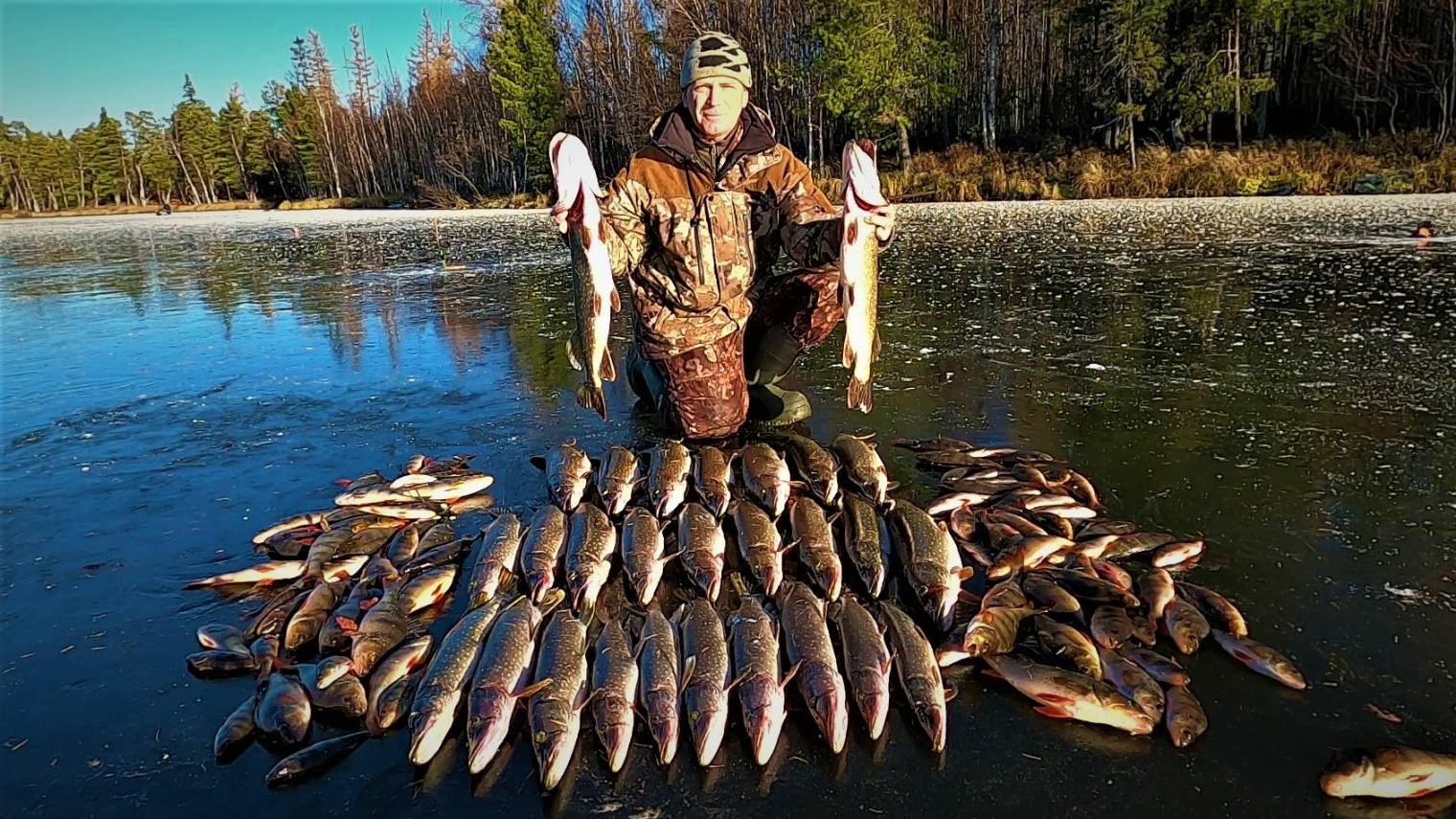 ПЕРВЫЙ ЛЁД 25-26 ОТКРЫТ! ЗИМНЯЯ РЫБАЛКА НА ЯМАЛЕ НАЧАЛАСЬ, ЩУКА И ОКУНЬ ВСТРЕТИЛИ ОТЛИЧНЫМ КЛЁВОМ!