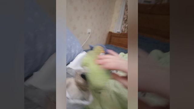 СКУЛБОЙ ЗЕРКАЛЬНЫЙ РЕЖИМ. ПОПАЛ В ЗАЗЕРКАЛЬЕ!