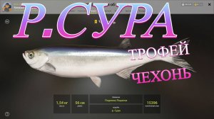 ТРОФЕЙ ЧЕХОНЬ!!!РЕКА СУРА - РУССКАЯ РЫБАЛКА 4