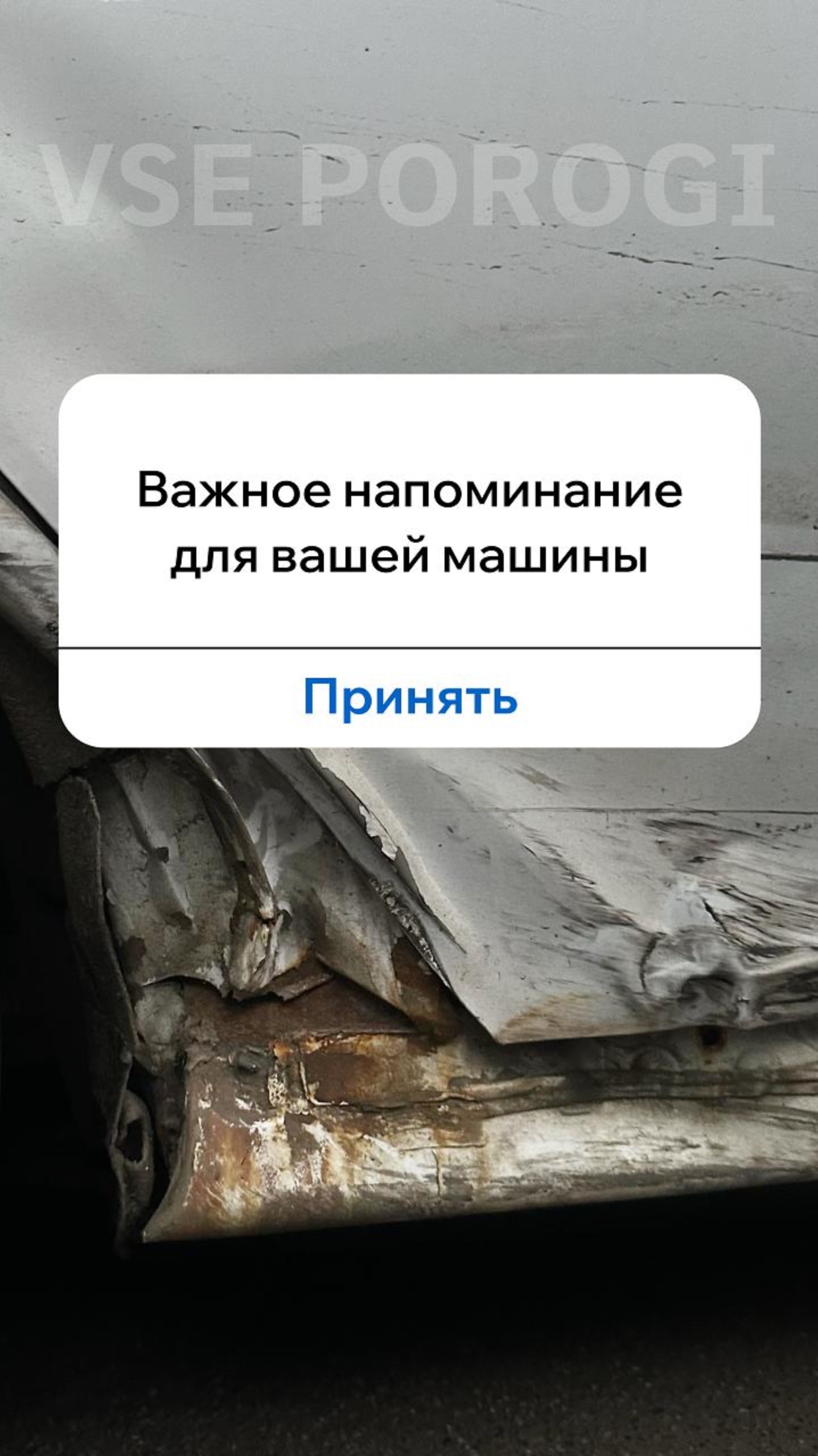 Carina E намекает! Все Пороги