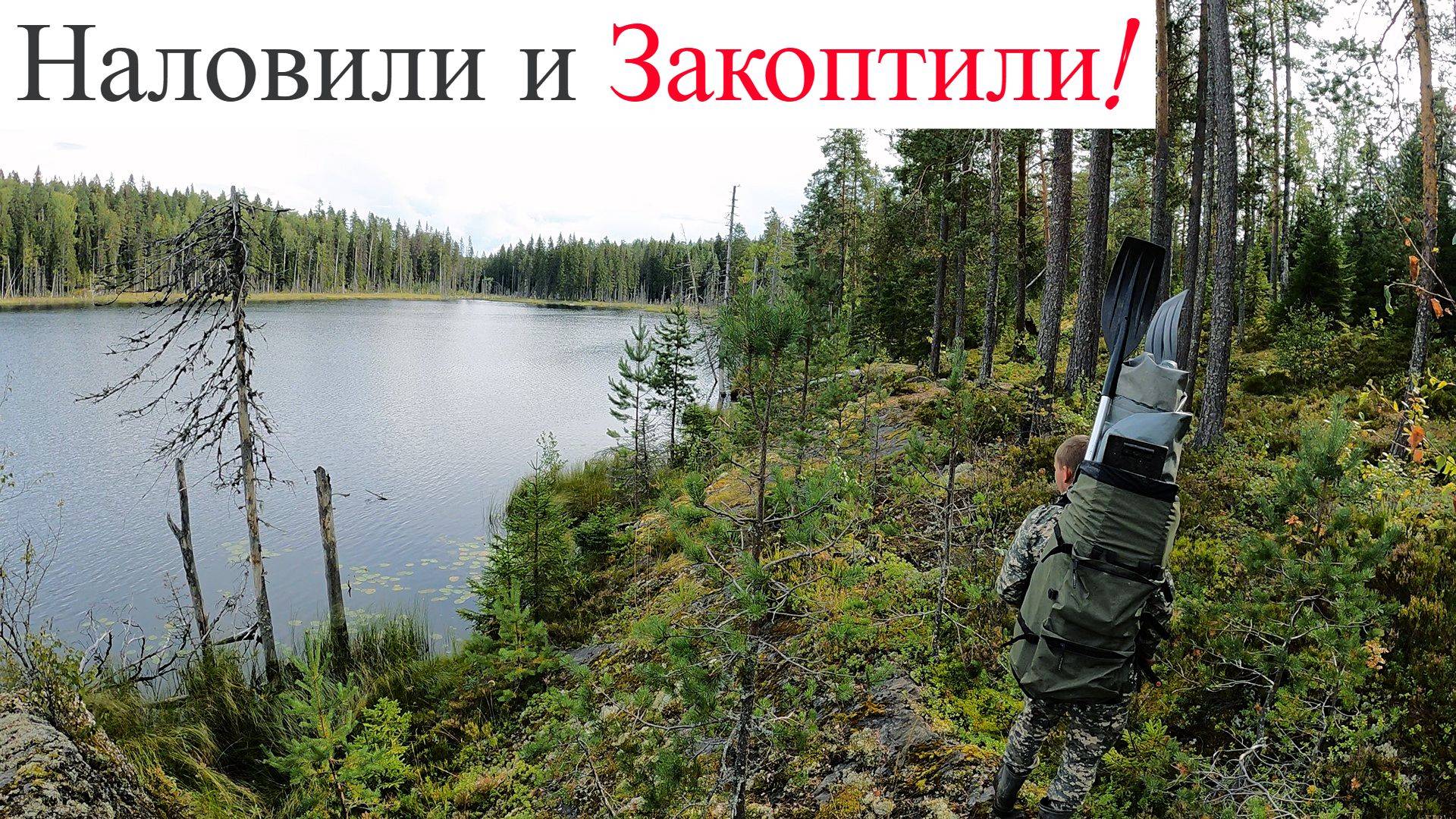 Поход по Северному Лесу к Озеру на Хищника! Закоптили Улов и Поехали к Шалашу Рыбака ! UHD смотреть онлайн