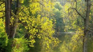 Осень, как рыжая девчонка
