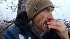 Тундра. Заполярье. Как тут выжить?