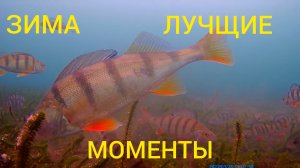 ЗИМА, ЛУЧШИЕ МОМЕНТЫ.
