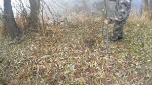 Закрытие сезона ! Нас отоковали коровы  ! Треш