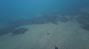 Мой первый опыт подводной охоты на черном море)))
