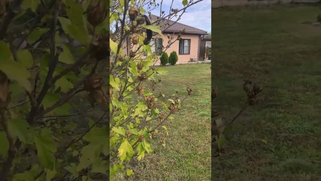 Хороший денек!