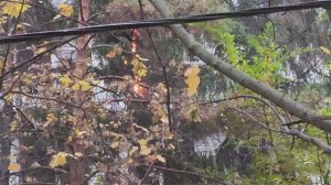 Пожар в больнице Саратов