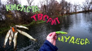 🔝🔝🔝Кислота творит чудеса.Спас всю рыбалку🔝🔝🔝 щука# воблер# рыбалка#