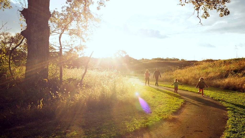 ВЛИЯНИЕ ТРЕХМЕРНОЙ МАТРИЦЫ НА ФИЗИЧЕСКИЕ ТЕЛА.