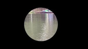 Видео поимки с водоема.