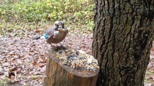 Экотерапия 46 серия.