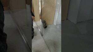 ура сегодня цыганская ночь в лагере Вита.