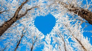 НОЯБРЬ--ОВЕН(таро)