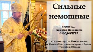"Сильные немощные". Епископ Венёвский Феодорит.