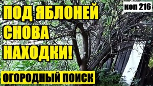 или КАК Я ПОД СТАРОЙ ЯБЛОНЕЙ КЛАД ИСКАЛ. коп 216