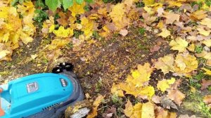 Ещё одна функция газонокосилки.