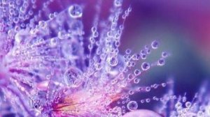 НОЯБРЬ--БЛИЗНЕЦЫ--таро