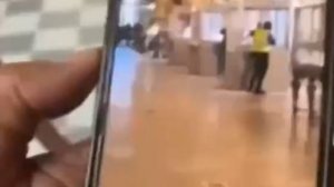 В сети появились видео ограбления в Лувре.