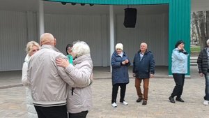 Капли абсента... 19.10.25...
