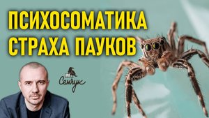 Откуда берется панический страх пауков. А у вас есть арахнофобия? Феноменальная психосоматика