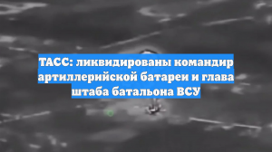 ТАСС: ликвидированы командир артиллерийской батареи и глава штаба батальона ВСУ