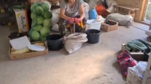 МЫ СЛЫШИМ ЗОВ РОДИНЫ! А ВЫ? ДОБРОВОЛЬЦЫ! ПРИГЛАШАЕМ И ЖДЁМ ВАС!