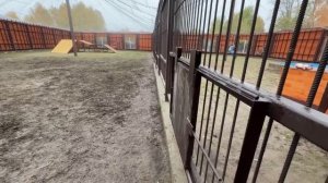 Шархан 19.10.2025 Иди забирай косточку Видео от сотрудников мискзоо