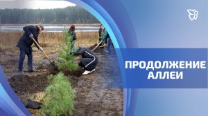 На улице Доктора Юрьевой прошла экологическая акция «Семейное дерево»