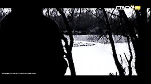 Выводы следствия. Воспоминания о деле Сливко