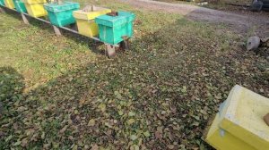 ф.65. Всё как-то так происходит на .19.10.2025.г