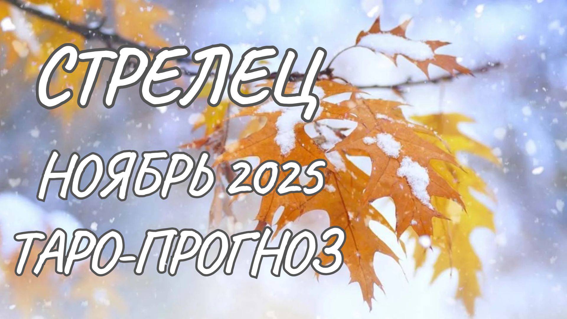 Стрелец ♐ Таро прогноз на ноябрь 2025 года