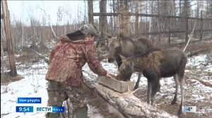 09:30 ВЕСТИ САХА 20/10/25 НА ЯКУТСКОМ ЯЗЫКЕ