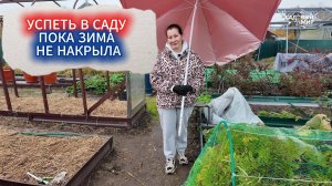 СРОЧНО! САДОВЫЕ ДЕЛА ОКТЯБРЯ - ПОКА ЗИМА НЕ НАКРЫЛА