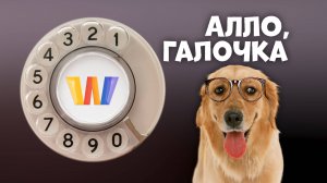 Алло, Галочка? #3 (98) четвёртый сезон