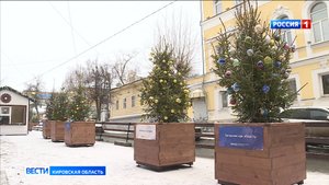 B декабре в Кирове на улице Спасской снова появится Аллея новогодних елей