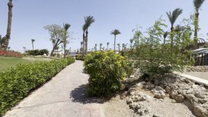 ПРИШЛОСЬ МЕНЯТЬ НОМЕР в отеле PARROTEL BEACH RESORT