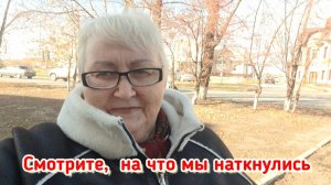 Готовлю рубленые куриные котлеты с сыром / Каналов много, а посмотреть нечего