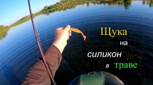 Ловля ЩУКИ осенью на неогруженные силиконовые приманки. Щука атакует из травы.