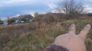 Готовлю место для будущей пасики