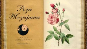 Розы Редуте. Сад Мальмезона. Jardin de la Malmaison. Из архива канала (03.04.2024)