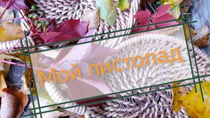 МОЙ ЛИСТОПАД Фотогалерея