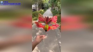 Осенняя поделка - маска из осенних листьев