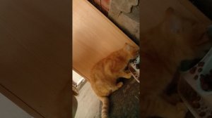 моя жизнь (часть 5)