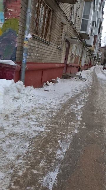 №90. Двор Сибирская 73. 13 февраля 2025 г., 16:41:31. VID_20250213_164057455
