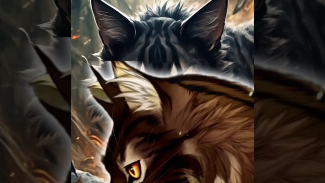 ✨Эдит на звездоцапа✨