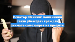 Сенатор Шейкин: мошенники стали убеждать граждан снимать самозапрет на кредиты