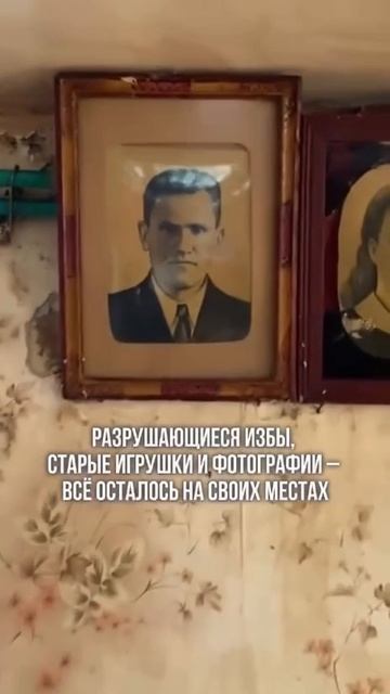 У петербуржцев новое развлечение...
